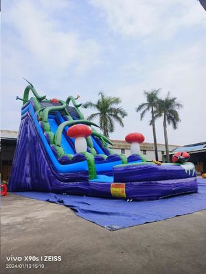 Mermer Duvar Mantar Krallığı Havuzlu Şişme Su Kaydırmaları