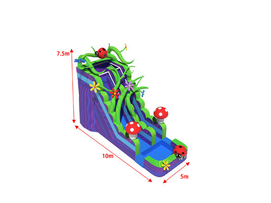 Mermer Duvar Mantar Krallığı Havuzlu Şişme Su Kaydırmaları