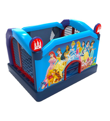 Disneyland Prenses Kalesi Çocuklar için şişme sıçrama evi