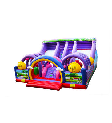 Sesuaikan Slide Dua Jalur Besar Slide Bouncer Inflatable Ungu
