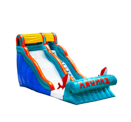 Slide Inflatable Disesuaikan Dengan Warna Cerah Taman Hiburan