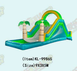Slide Inflatable yang Berwarna-warni dan Bersemangat untuk Anak-anak Pengalaman Slide yang Menyenangkan