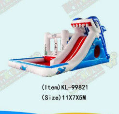 Aldult Açık Hava Kiralama Şişme Büyük Su Kaydırmaları